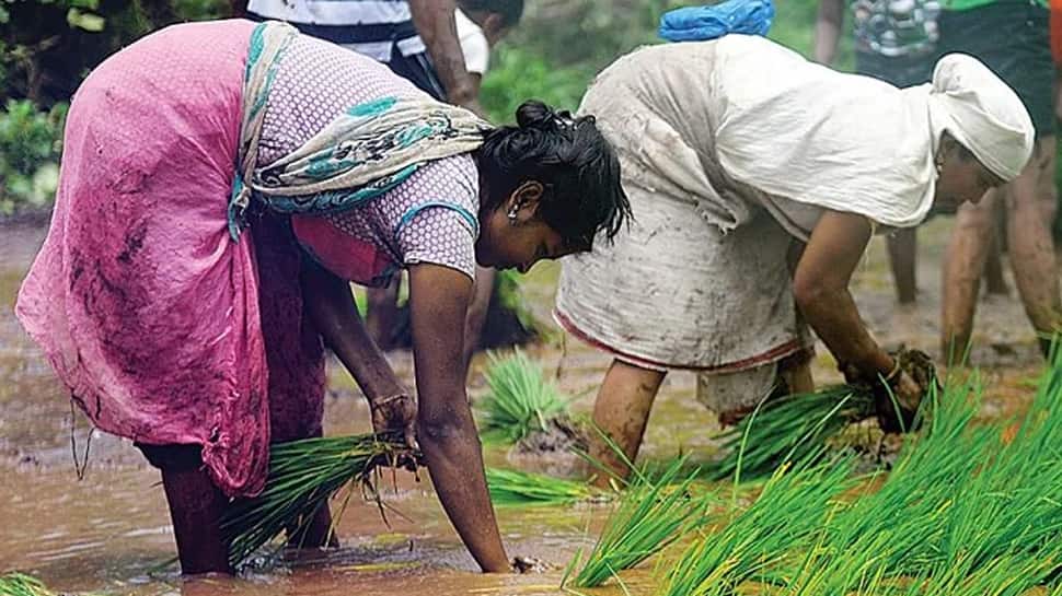 PM મોદી આજે ખેડૂતોને આપશે 'એક લાખ કરોડની ભેટ', ખાસ જાણો વિગતો PM મોદી આજે ખેડૂતોને આપશે 'એક લાખ કરોડની ભેટ', ખાસ જાણો વિગતો