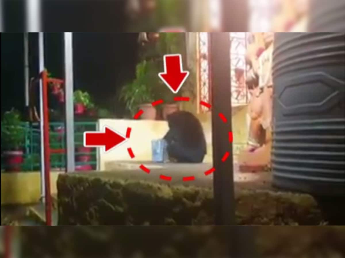 Video : રીંછ મહાદેવ મંદિરમાં પડેલું એક કિલો ઘી ગટગટાવી ગયું....!!!!  