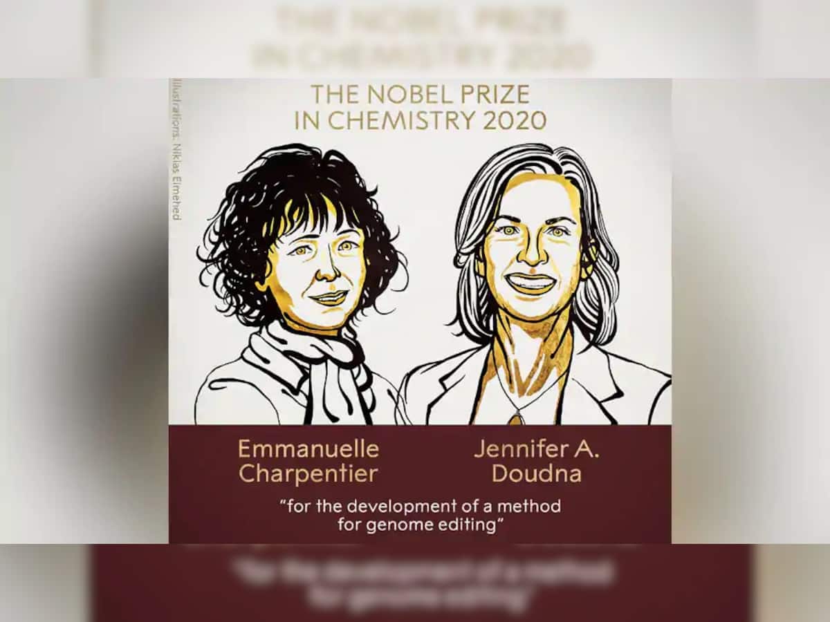 Nobel Prize 2020: Emmanuelle Charpentier અને Jennifer A. Doudnaને મળ્યો કેમેસ્ટ્રીનો નોબલ પુરસ્કાર
