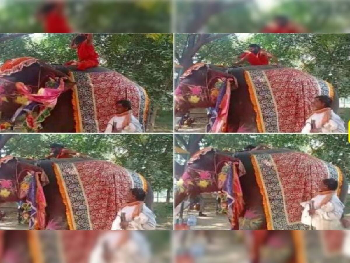 VIDEO: સંતોને યોગ શીખવાડતા હતા બાબા રામદેવ...અચાનક હાથી પરથી ગબડી પડ્યા