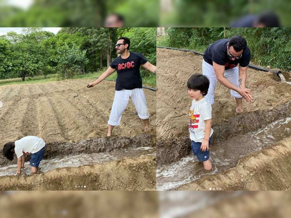 પિતા Saif Ali Khan સાથે ખેતી કરતો જોવા મળ્યો Taimur Ali Khan, જુઓ PHOTOS