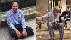 Ratan Tata એ આ રાજ્યના નામ પર રાખ્યું છે પોતાના શ્વાનનું નામ, ખાસ જાણો કારણ 