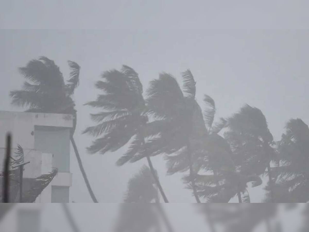 પુડુચેરી પાર કરી ગયા બાદ નબળું પડી રહ્યું છે Cyclone Nivar, અનેક વિસ્તારોમાં તબાહી