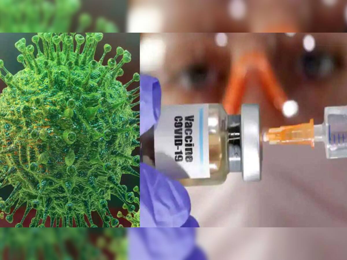Good News: નવા વર્ષમાં આ રીતે થશે જીવલેણ કોરોનાનો ખાતમો, વૈજ્ઞાનિકોએ બનાવ્યો સેમ ટુ સેમ Coronavirus જેવો પાર્ટિકલ 