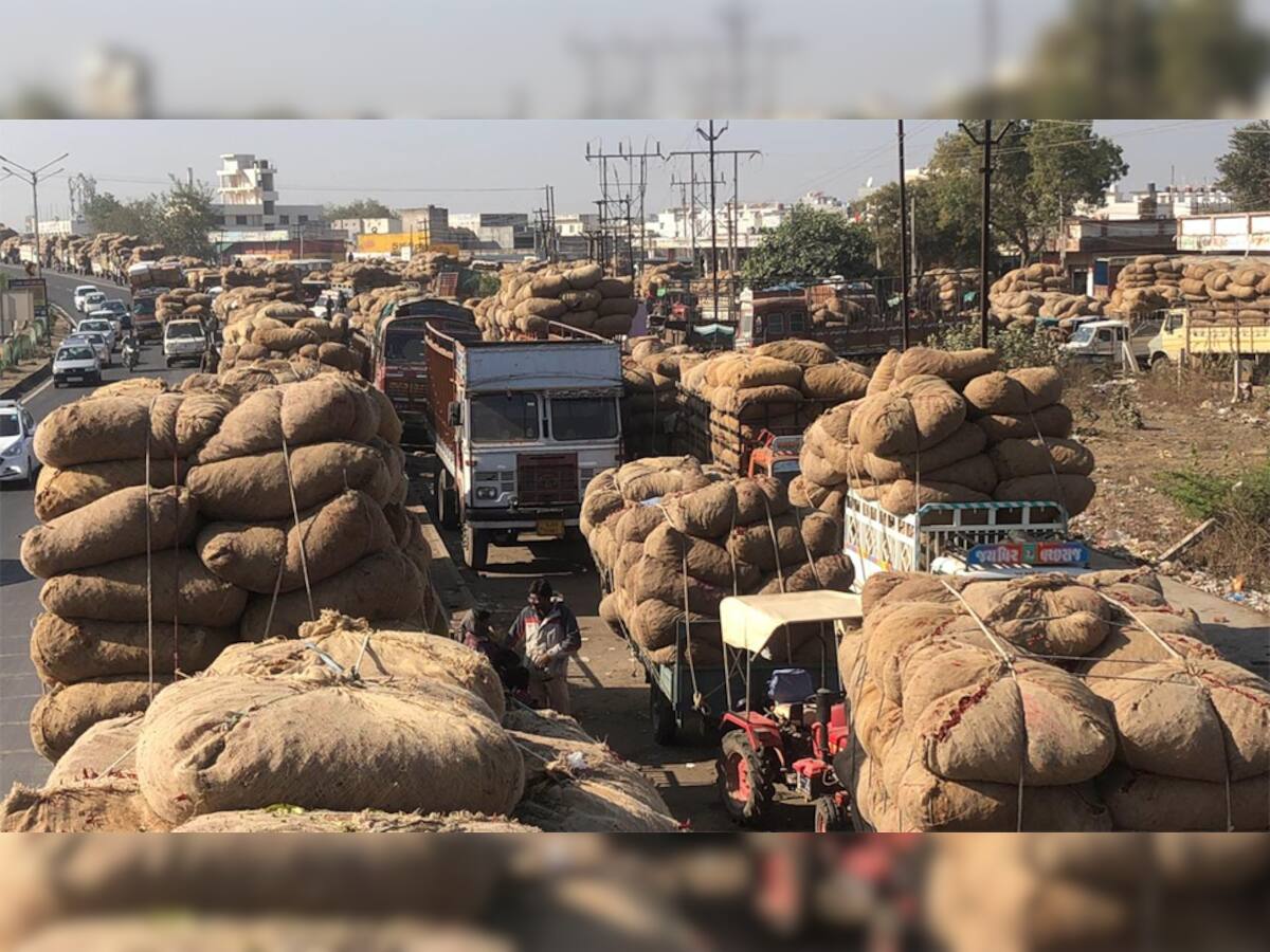 તીખું મરચું ખેડૂતોને લાગ્યું સાકર જેવું મીઠું, આવક વધતા ખુશખુશાલ થયા