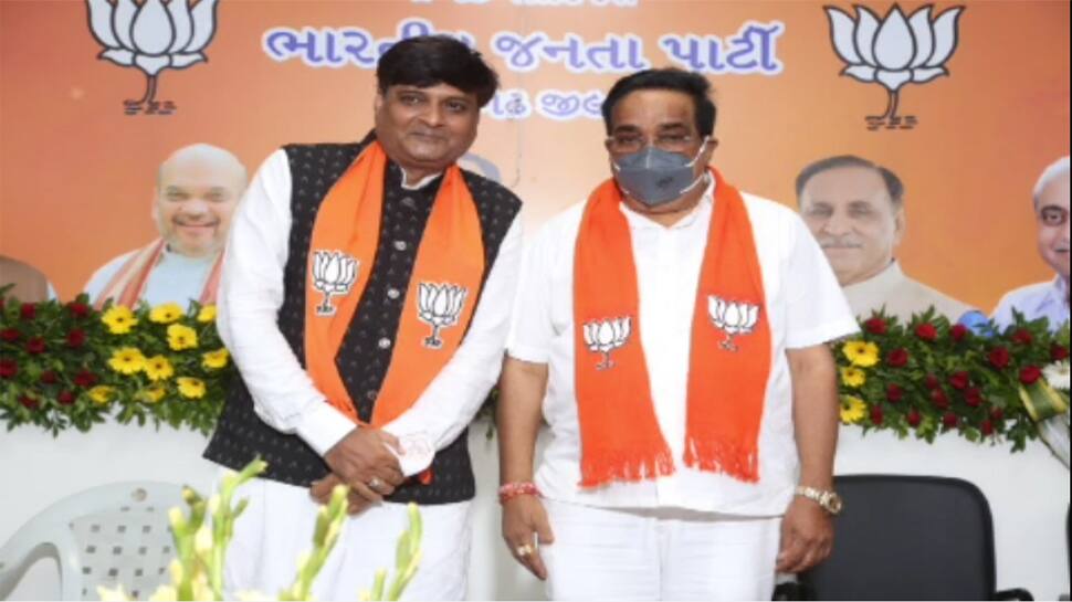 કડવા પાટીદારોને અન્યાય થવાનું કારણ ધરીને જુનાગઢના BJP ના મહામંત્રીએ આપ્યું રાજીનામુ કડવા પાટીદારોને અન્યાય થવાનું કારણ ધરીને જુનાગઢના BJP ના મહામંત્રીએ આપ્યું રાજીનામુ