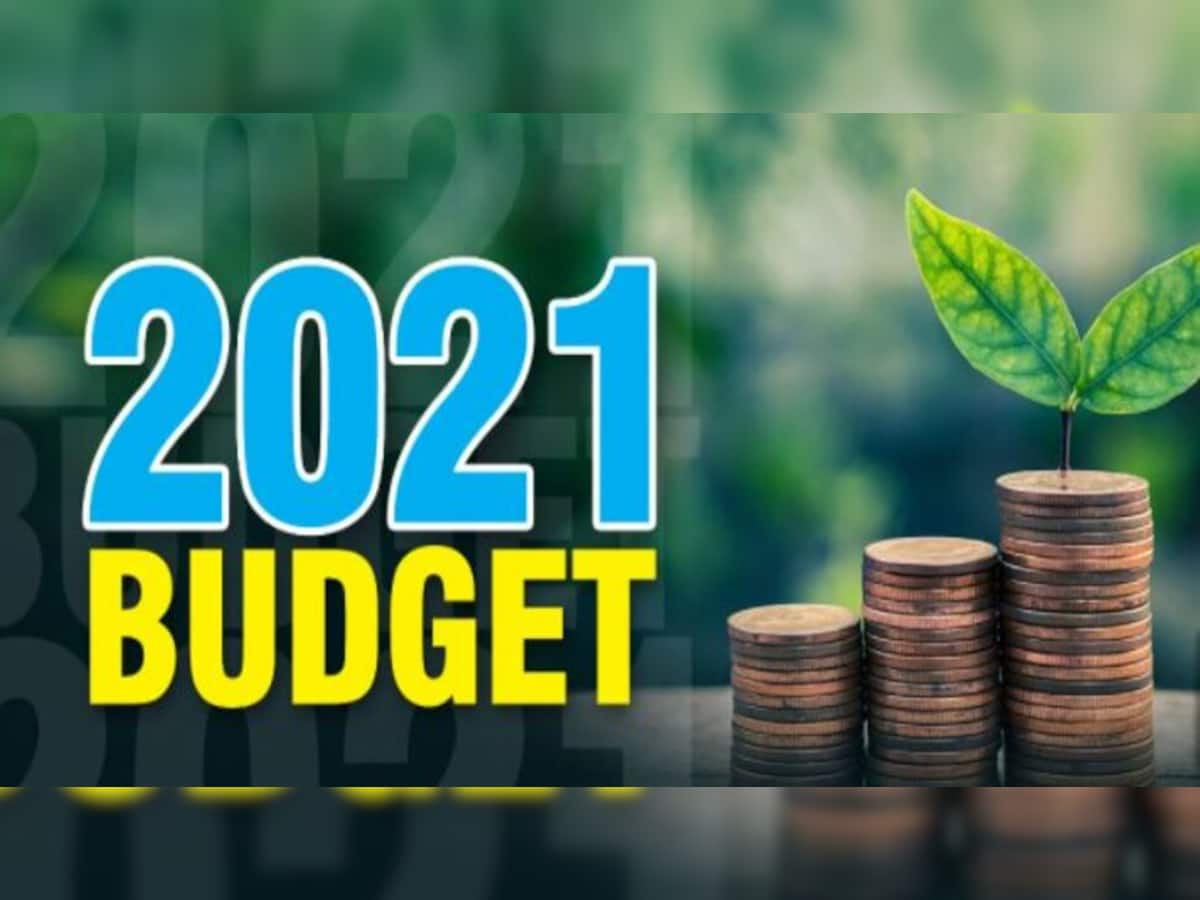 Budget 2021: આ વખતના બજેટથી મહિલા વર્ગને છે આ પ્રકારની આશા-અપેક્ષાઓ