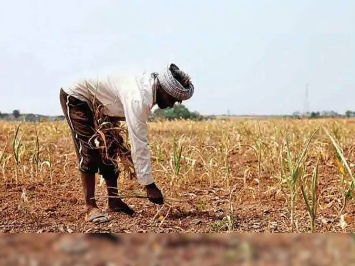 Farmers Protest: વિરોધ પ્રદર્શન વચ્ચે ખેડૂતો માટે ખુશીના સમાચાર, સરકારે 12,110 કરોડની કૃષિ લોન કરી માફ