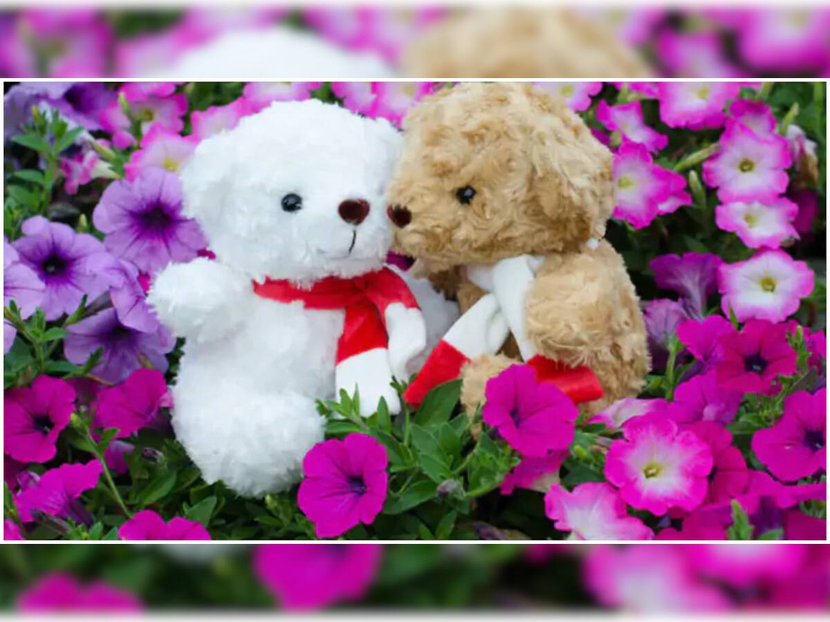 Teddy Day 2021: દરેક રંગના Teddy Bear નો હોય છે અલગ અર્થ, Gift કરતા પહેલા જાણો અહીં