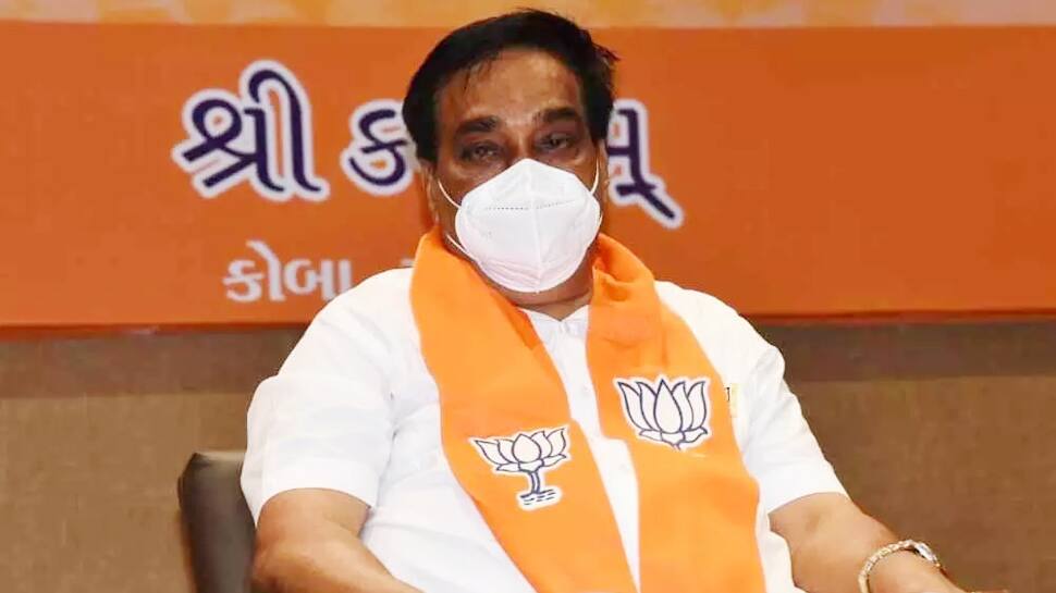 6 મનપામાં ભાજપની થશે જીત, જે મતદાન થયું છે તેનો સીધો ફાયદો ભાજપને છે: સીઆર પાટીલ 6 મનપામાં ભાજપની થશે જીત, જે મતદાન થયું છે તેનો સીધો ફાયદો ભાજપને છે: સીઆર પાટીલ