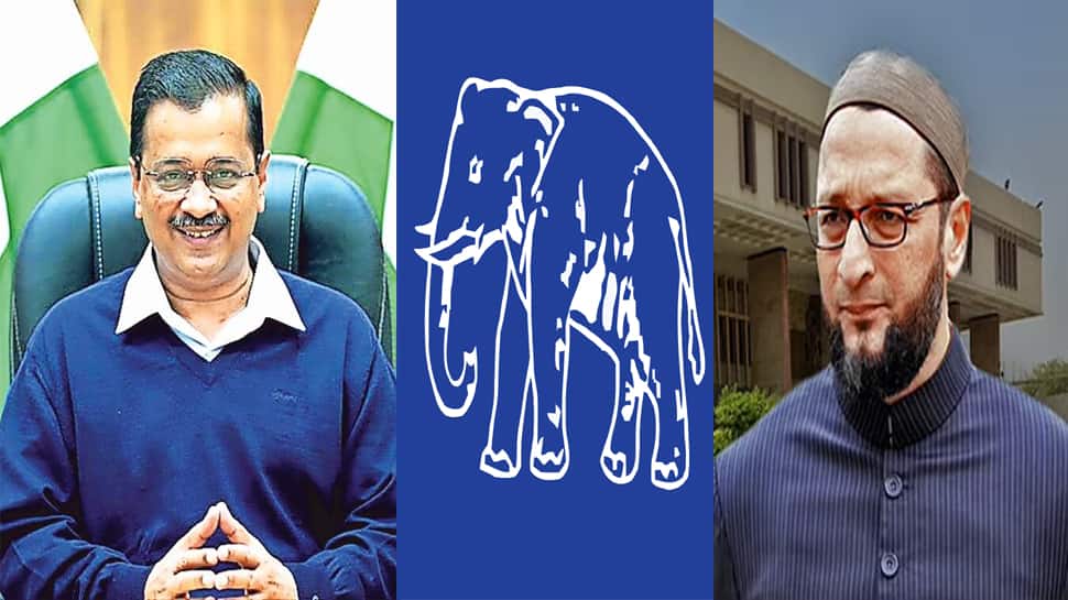 ગુજરાતના રાજકારણમાં AAP-AIMIM બન્યા ત્રીજો વિકલ્પ, શું ડગમગશે ભાજપનો ગઢ? ગુજરાતના રાજકારણમાં AAP-AIMIM બન્યા ત્રીજો વિકલ્પ, શું ડગમગશે ભાજપનો ગઢ?