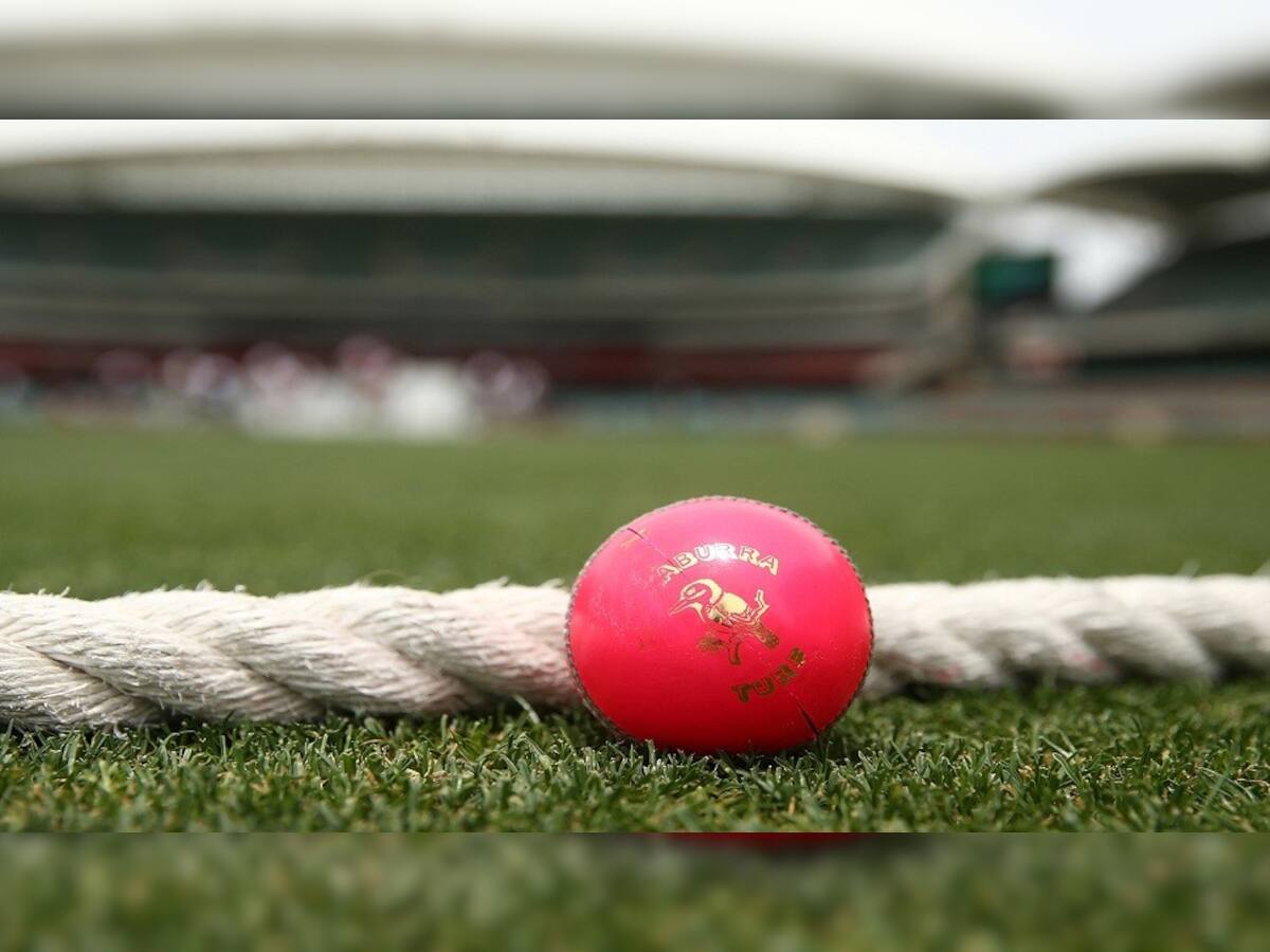 Pink Ball Test માં કેવો છે ટીમ ઈન્ડિયાનો રેકોર્ડ, જાણો કોણ સફળ બેટ્સમેન-કોની બોલિંગમાં દમ?
