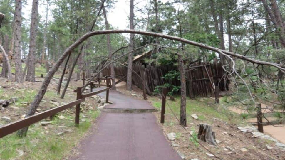 Mystery Spot: દુનિયાની કેટલીક એવી જગ્યાઓ, જ્યાંના રહસ્યો હજુ સુધી છે વણઉકેલ્યા Mystery Spot: દુનિયાની કેટલીક એવી જગ્યાઓ, જ્યાંના રહસ્યો હજુ સુધી છે વણઉકેલ્યા