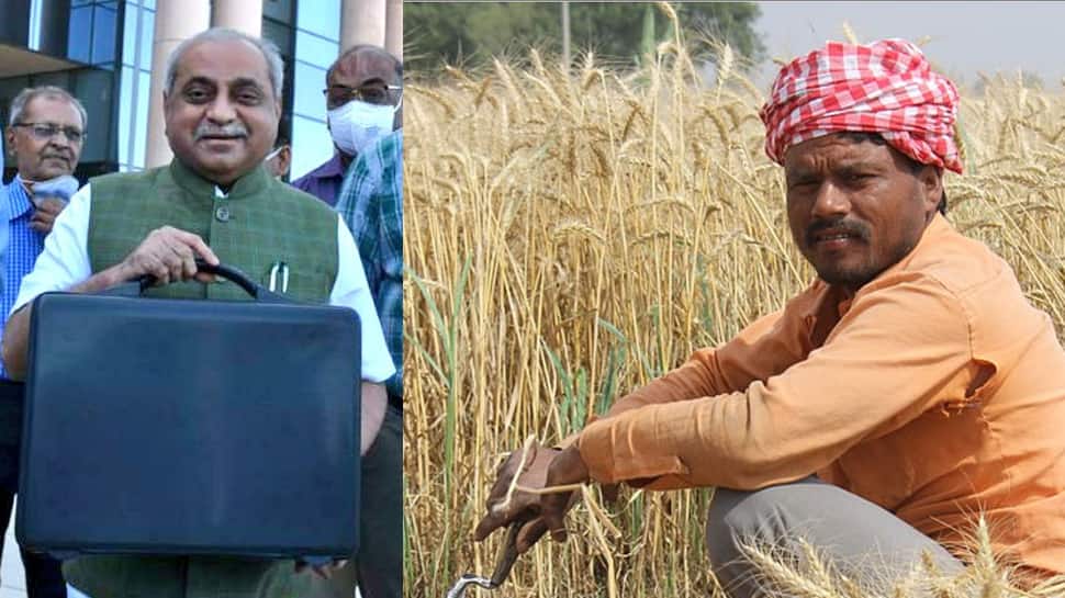 Gujarat Budget 2021: બજેટમાં સરકારે ખેડૂતોને કર્યા ખુશ, જાણો શું-શું મળ્યું Gujarat Budget 2021: બજેટમાં સરકારે ખેડૂતોને કર્યા ખુશ, જાણો શું-શું મળ્યું