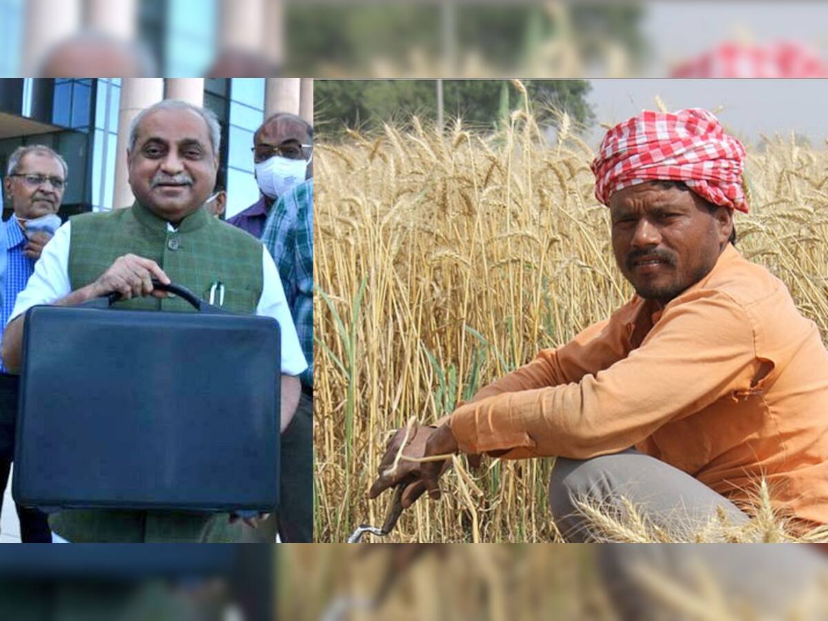 Gujarat Budget 2021: બજેટમાં સરકારે ખેડૂતોને કર્યા ખુશ, જાણો શું-શું મળ્યું