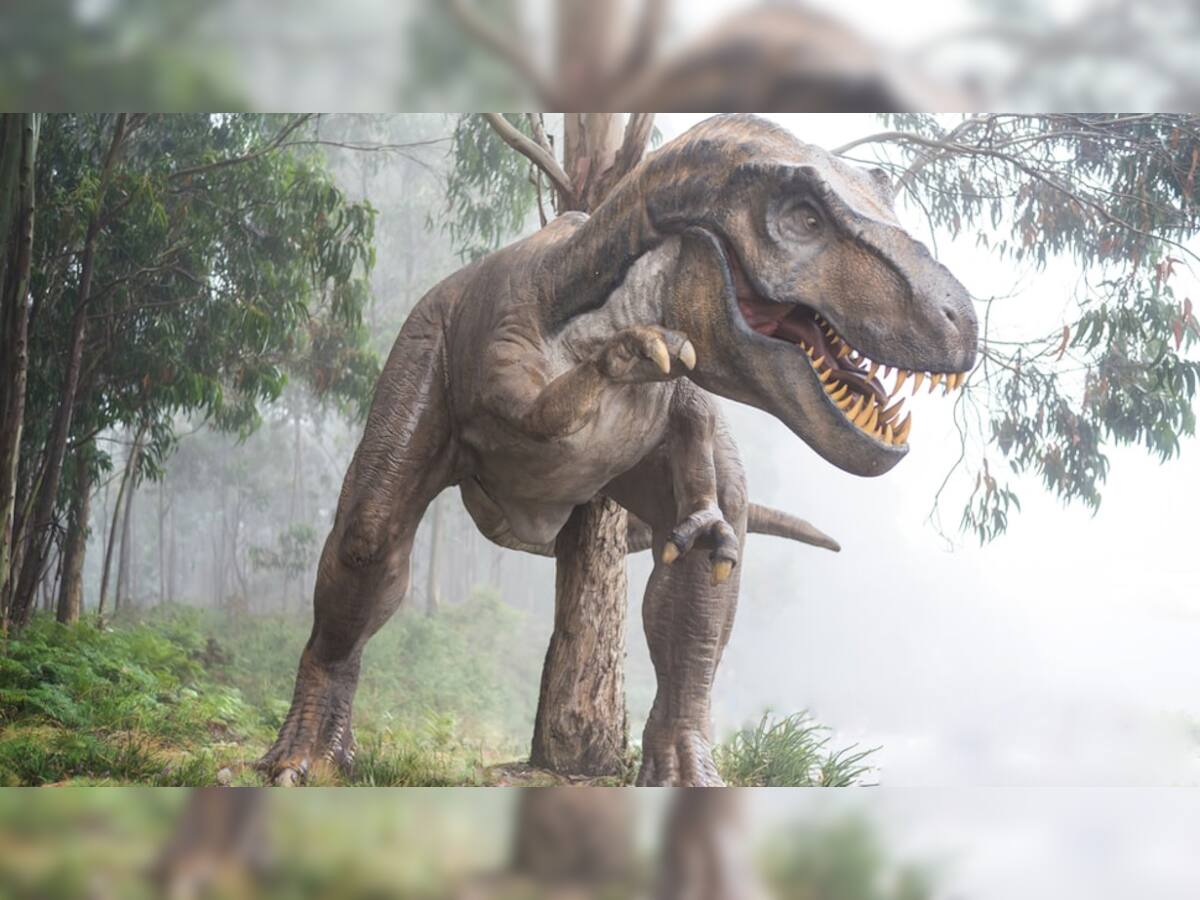 Dinosaurs ના અંત સાથે જોડાયેલી અટકળો પર આખરે મૂકાયુ પૂર્ણવિરામ, ડાયનાસોર અંગે વૈજ્ઞાનિકોએ કર્યો મોટો ખુલાસો