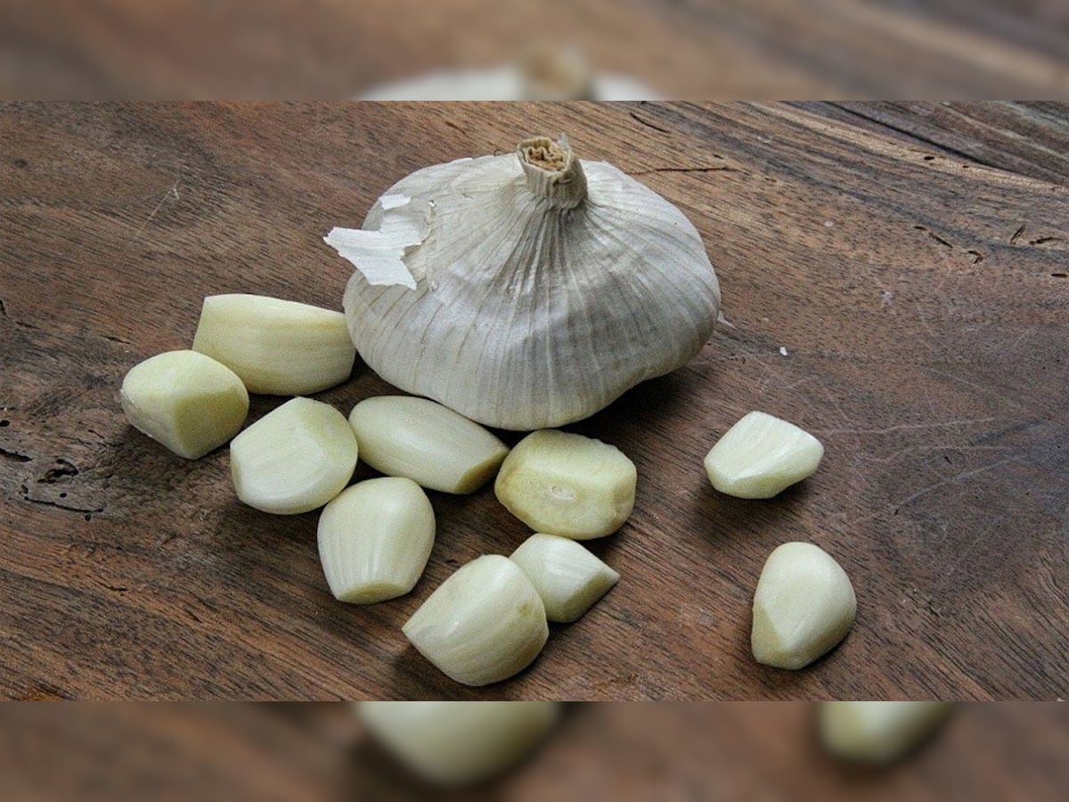 Benefits of Garlic: પુરૂષ આ સમયે ખાઈ લે લસણની પાંચ કળી, મળશે જોરદાર ફાયદો