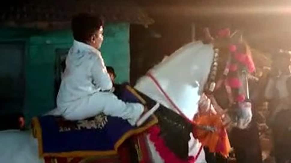 Gir Somnath: ગીર ગઢડામાં એવા લગ્ન સમારંભનું આયોજન કે આખા વિશ્વ મીડિયાનું ધ્યાન ખેંચ્યું Gir Somnath: ગીર ગઢડામાં એવા લગ્ન સમારંભનું આયોજન કે આખા વિશ્વ મીડિયાનું ધ્યાન ખેંચ્યું