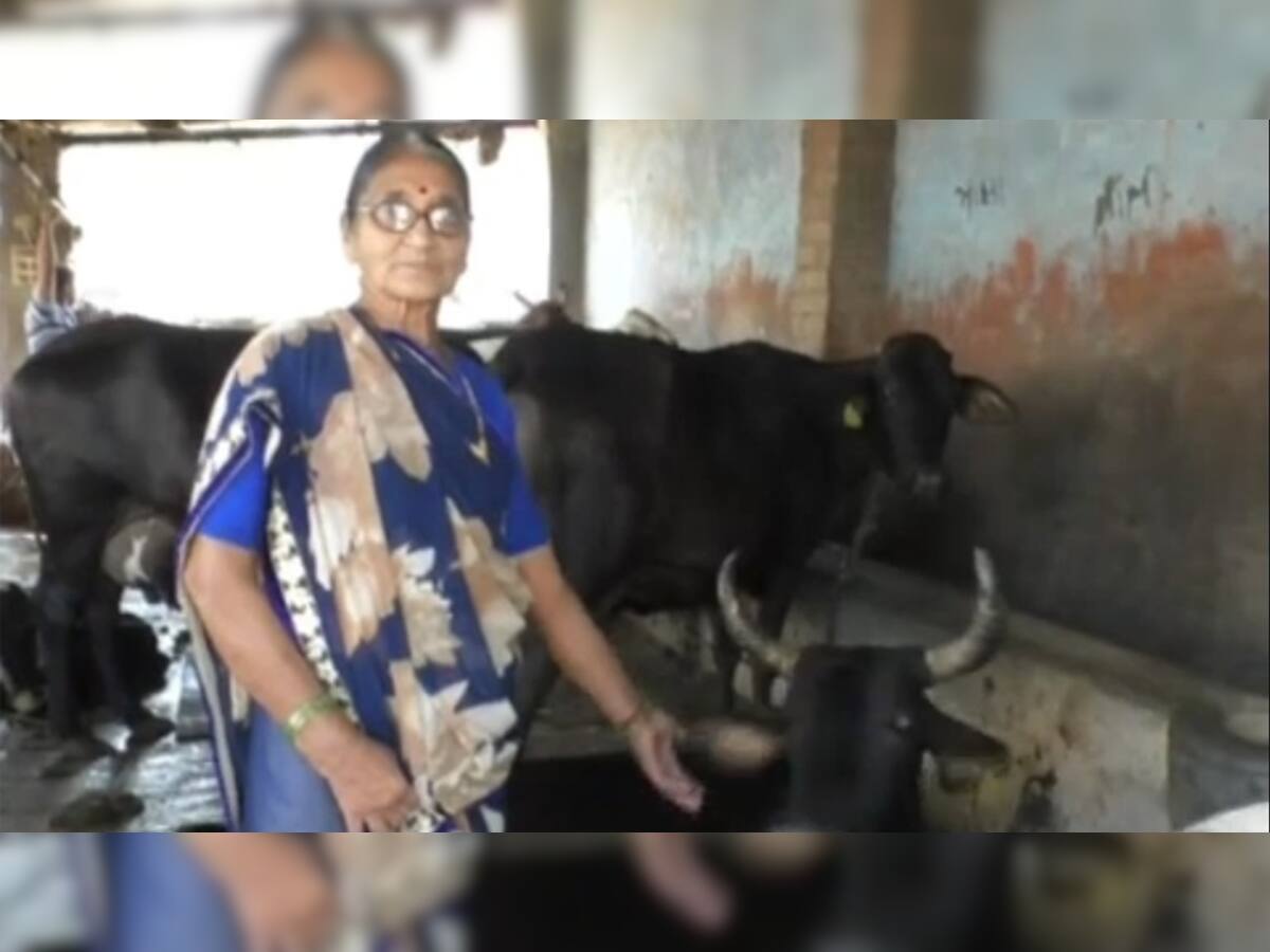 International Women's Day: મહિલાની કોઠાસૂઝ, લોન પર બે ગાય લીધી, અને કરે છે લાખોની કમાણી