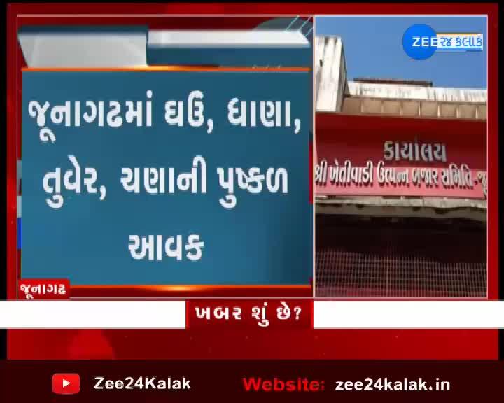 Plenty of wheat, coriander, tur, chickpea income in Junagadh