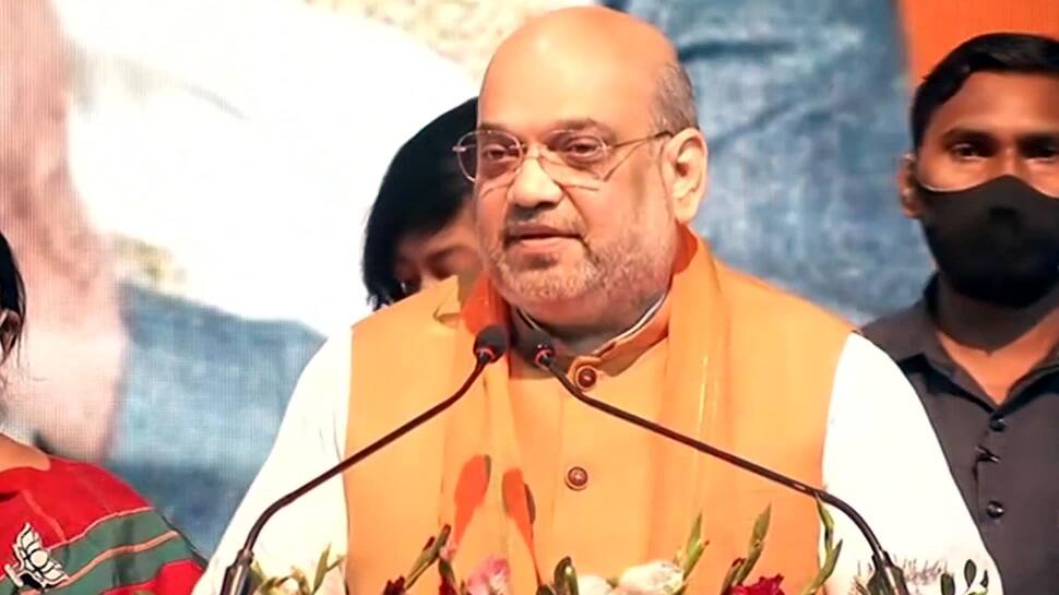 Manifesto: મહિલાઓને 33 ટકા અનામત આપવાની જાહેરાત, સંકલ્પ પત્રમાં અમિત શાહની મોટી વાતો Manifesto: મહિલાઓને 33 ટકા અનામત આપવાની જાહેરાત, સંકલ્પ પત્રમાં અમિત શાહની મોટી વાતો