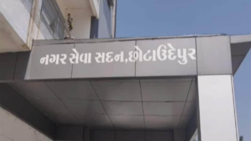 Chhota Udepur: બળવો કરી સત્તા મેળવનારને ભાજપે એવો પાઠ ભણાવ્યો કે... Chhota Udepur: બળવો કરી સત્તા મેળવનારને ભાજપે એવો પાઠ ભણાવ્યો કે...
