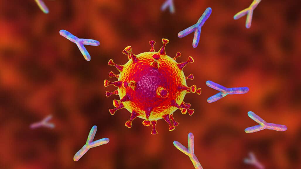 Coronavirus news: અભ્યાસમાં દાવો- એન્ટીબોડી દવાઓ કોરોનાથી બચાવે છે, સંક્રમિત વ્યક્તિને ગંભીર સ્થિતિથી પણ બચાવે છે Coronavirus news: અભ્યાસમાં દાવો- એન્ટીબોડી દવાઓ કોરોનાથી બચાવે છે, સંક્રમિત વ્યક્તિને ગંભીર સ્થિતિથી પણ બચાવે છે