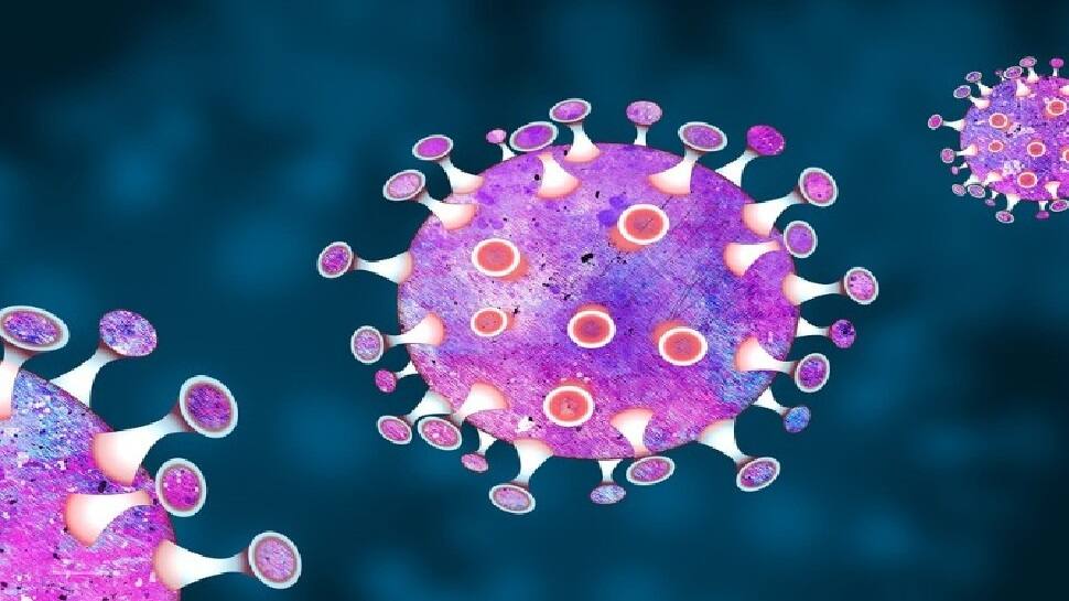 Triple Mutation Strain: દેશમાં કોરોનાના ત્રિપલ મ્યૂટેન્ટની એન્ટ્રી, આ રાજ્યોમાં મળ્યા કેસ Triple Mutation Strain: દેશમાં કોરોનાના ત્રિપલ મ્યૂટેન્ટની એન્ટ્રી, આ રાજ્યોમાં મળ્યા કેસ