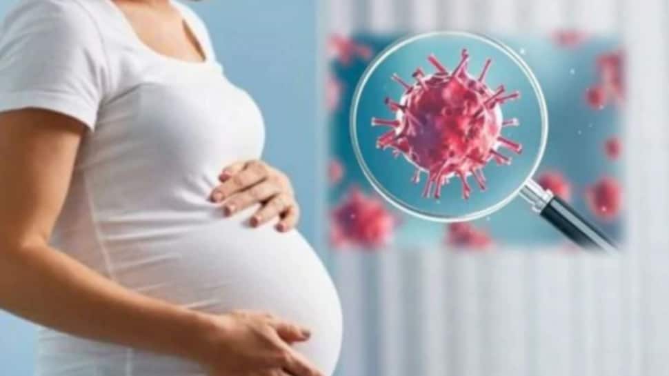 Pregnant મહિલાઓ માટે કેટલી સુરક્ષિત છે કોરોના વેક્સીન, રિસર્ચમાં થયો આ ખુલાસો Pregnant મહિલાઓ માટે કેટલી સુરક્ષિત છે કોરોના વેક્સીન, રિસર્ચમાં થયો આ ખુલાસો