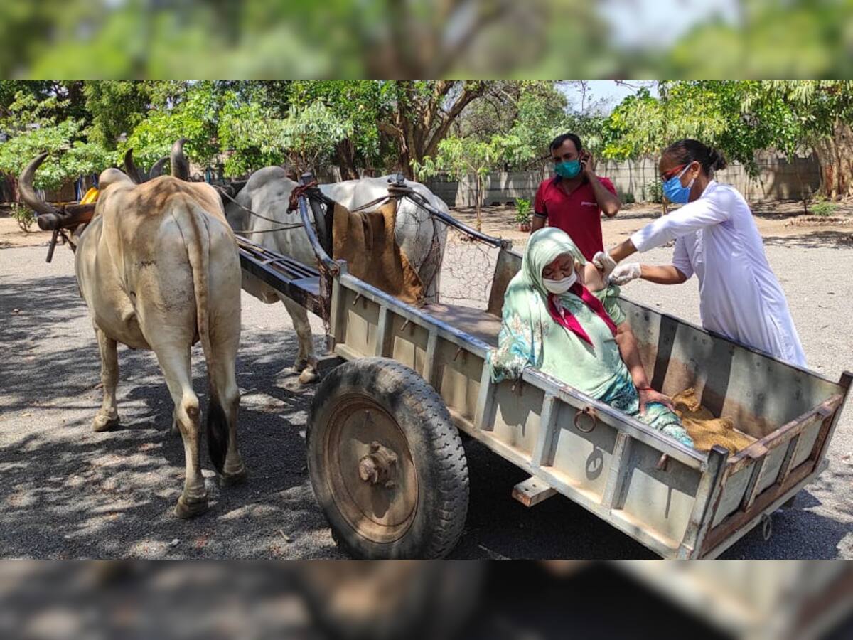 બળદગાડામાં વેક્સીનેશન : વયોવૃદ્ધ માજીને વેક્સીન આપવા સ્ટાફ બહાર દોડી આવ્યો 