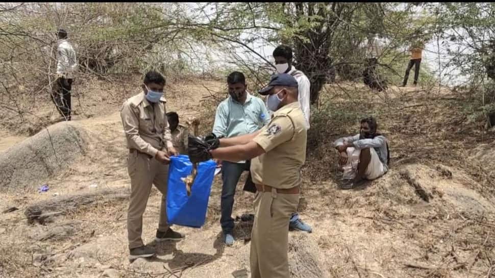 ક્રાઈમ પેટ્રોલ જેવો કિસ્સો, અમીરગઢના જંગલમાંથી યુવક-યુવતીના કંકાલ મળ્યા, પાસે પડ્યું હતું એક પર્સ ક્રાઈમ પેટ્રોલ જેવો કિસ્સો, અમીરગઢના જંગલમાંથી યુવક-યુવતીના કંકાલ મળ્યા, પાસે પડ્યું હતું એક પર્સ