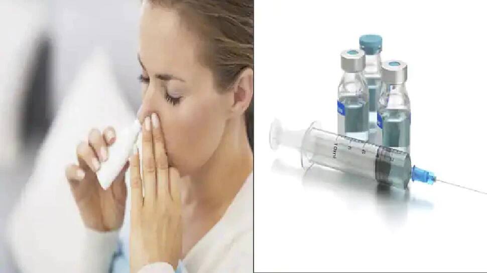 Nasal Spray Covid Vaccine: ક્યાં સુધી આવશે કોરોનાની નોઝલ સ્પ્રે વેક્સિન? 7ની ક્લિનિકલ ટ્રાયલ જારી Nasal Spray Covid Vaccine: ક્યાં સુધી આવશે કોરોનાની નોઝલ સ્પ્રે વેક્સિન? 7ની ક્લિનિકલ ટ્રાયલ જારી