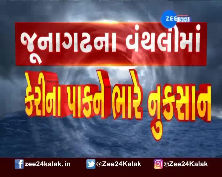 જ ન ગઢન વ થલ મ ક ર ન પ કન ભ ર ન કસ ન જ ઓ 24 Kalak Zee News