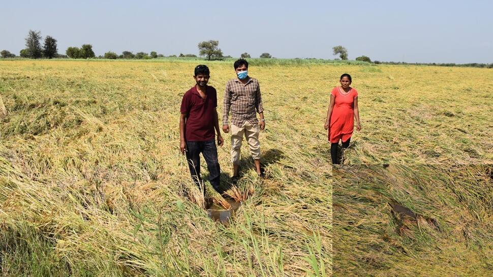 તૌકતે વાવાઝોડું: ઓલપાડ તાલુકામાં યુધ્ધના ધોરણે સર્વેની કામગીરી શરૂ, થયું આટલું નુકસાન તૌકતે વાવાઝોડું: ઓલપાડ તાલુકામાં યુધ્ધના ધોરણે સર્વેની કામગીરી શરૂ, થયું આટલું નુકસાન