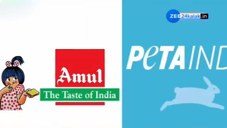 PETA ની અવળચંડાઈ પર Amul નો જવાબ, બનાસ ડેરીના ચેરમેને પણ કર્યો વિરોધ PETA ની અવળચંડાઈ પર Amul નો જવાબ, બનાસ ડેરીના ચેરમેને પણ કર્યો વિરોધ