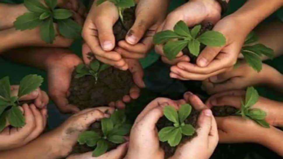 World Environment Day: પર્યાવરણના જતન અને સંરક્ષણ માટે રાજ્ય સરકાર કટિબદ્ધ, 'ઇકોસીસ્ટમ રીસ્ટોરેશન' સંદર્ભે આયોજન World Environment Day: પર્યાવરણના જતન અને સંરક્ષણ માટે રાજ્ય સરકાર કટિબદ્ધ, 'ઇકોસીસ્ટમ રીસ્ટોરેશન' સંદર્ભે આયોજન