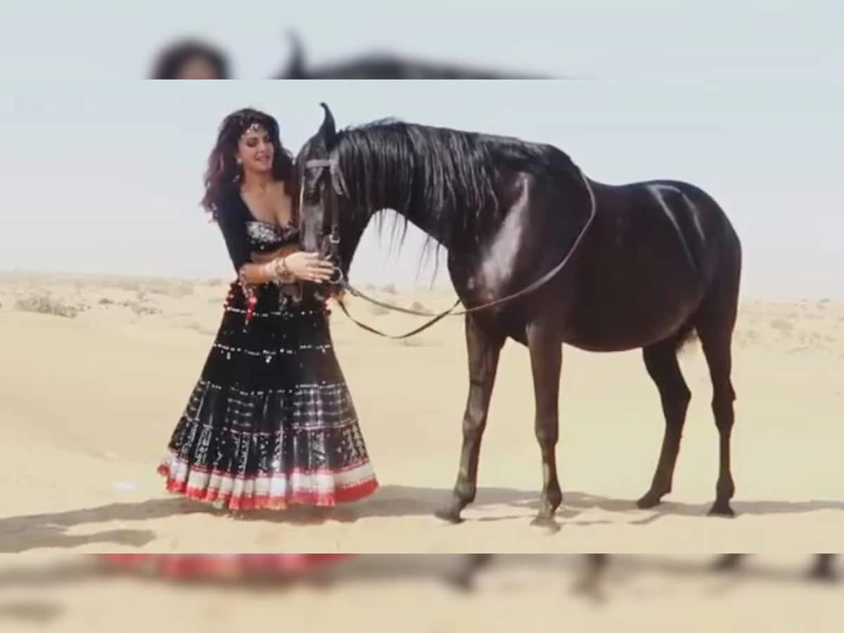 Jacqueline Fernandez એ તપતી રેતીમાં આવી રીતે વીતાવ્યા બે દિવસ, જુઓ 'પાણી પાણી' નો BTS VIDEO