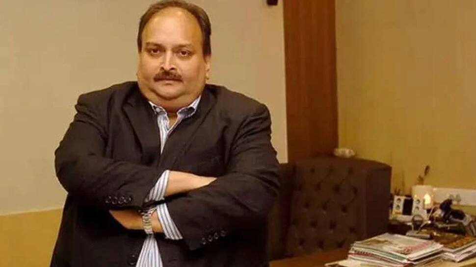 Mehul Choksi હજુ પણ ભારતીય નાગરિક, ભારતે ડોમિનિકા કોર્ટમાં આપ્યું એફિડેવિટ Mehul Choksi હજુ પણ ભારતીય નાગરિક, ભારતે ડોમિનિકા કોર્ટમાં આપ્યું એફિડેવિટ