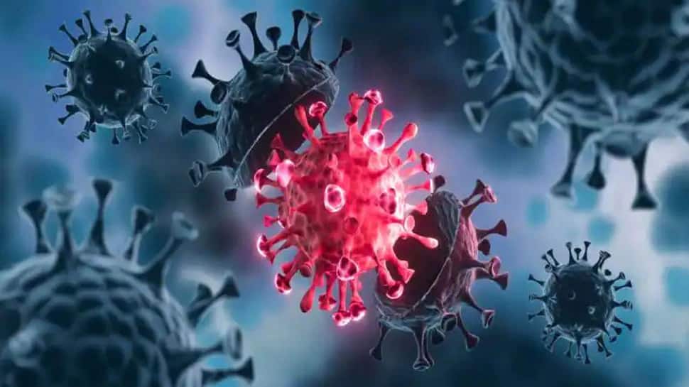 Coronavirus: India માં મળ્યા 120 થી વધુ Mutation, 8 છે સૌથી ખતરનાક, સ્ટડીમાં થયો આ ખુલાસો Coronavirus: India માં મળ્યા 120 થી વધુ Mutation, 8 છે સૌથી ખતરનાક, સ્ટડીમાં થયો આ ખુલાસો