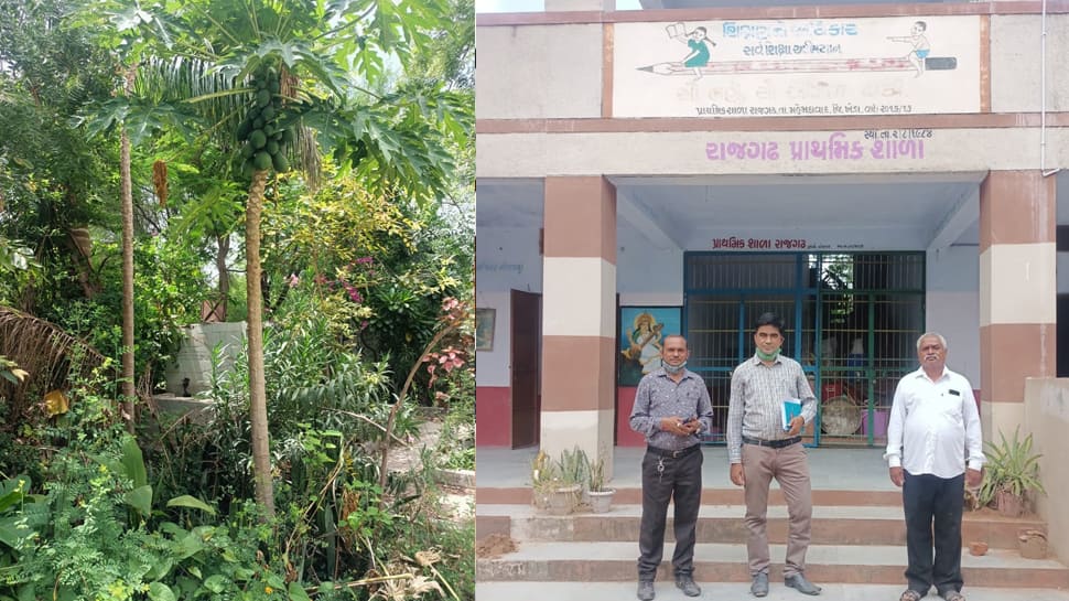 ખેડાની એક શાળાના અનોખો અભિગમ, બાળકો માટે તૈયારી કરાયુ કુદરતી વાતાવરણ ખેડાની એક શાળાના અનોખો અભિગમ, બાળકો માટે તૈયારી કરાયુ કુદરતી વાતાવરણ