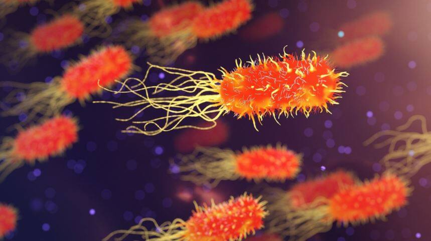 Gut Bacteria: માણસના પેટમાં છૂપાયેલું છે કોરોનાને પછાડવા માટેનું 'હથિયાર'!, નવા સ્ટડીમાં થયો ખુલાસો Gut Bacteria: માણસના પેટમાં છૂપાયેલું છે કોરોનાને પછાડવા માટેનું 'હથિયાર'!, નવા સ્ટડીમાં થયો ખુલાસો