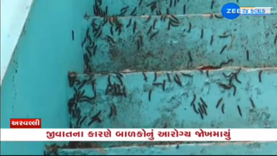 મોડાસાના ગામડાઓમાં ચુડવેલ જીવાતનો આતંક, લોકોને શાંતિથી જમવા પણ નથી દેતી મોડાસાના ગામડાઓમાં ચુડવેલ જીવાતનો આતંક, લોકોને શાંતિથી જમવા પણ નથી દેતી