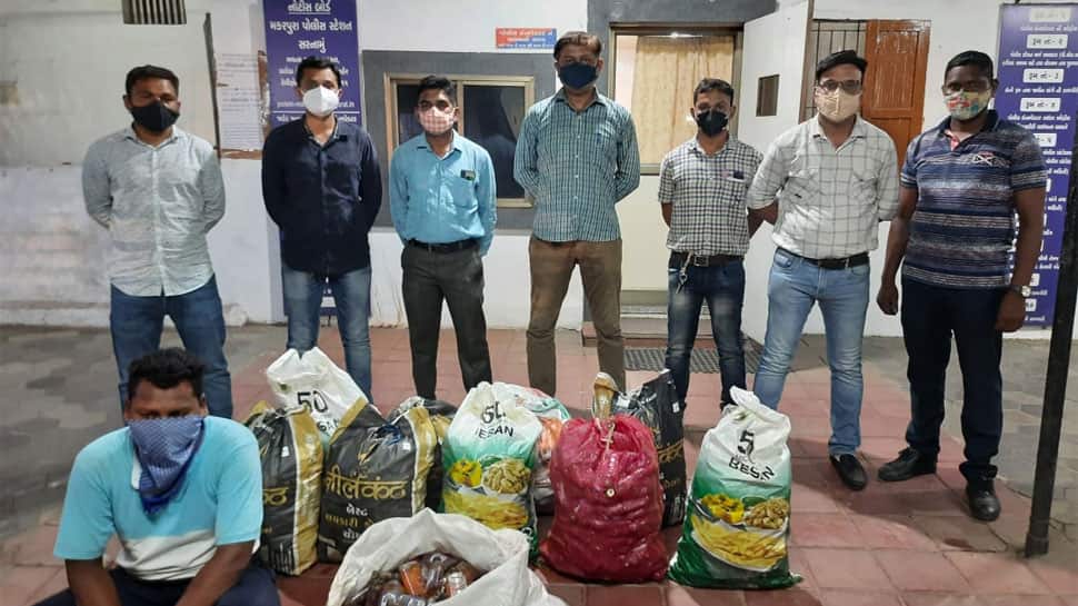 VADODARA: પોલીસે જમીનમાં ખાડો ખોદ્યો અને અંદરથી જે મળ્યું તે જોઇને ચોંકી ઉઠી VADODARA: પોલીસે જમીનમાં ખાડો ખોદ્યો અને અંદરથી જે મળ્યું તે જોઇને ચોંકી ઉઠી