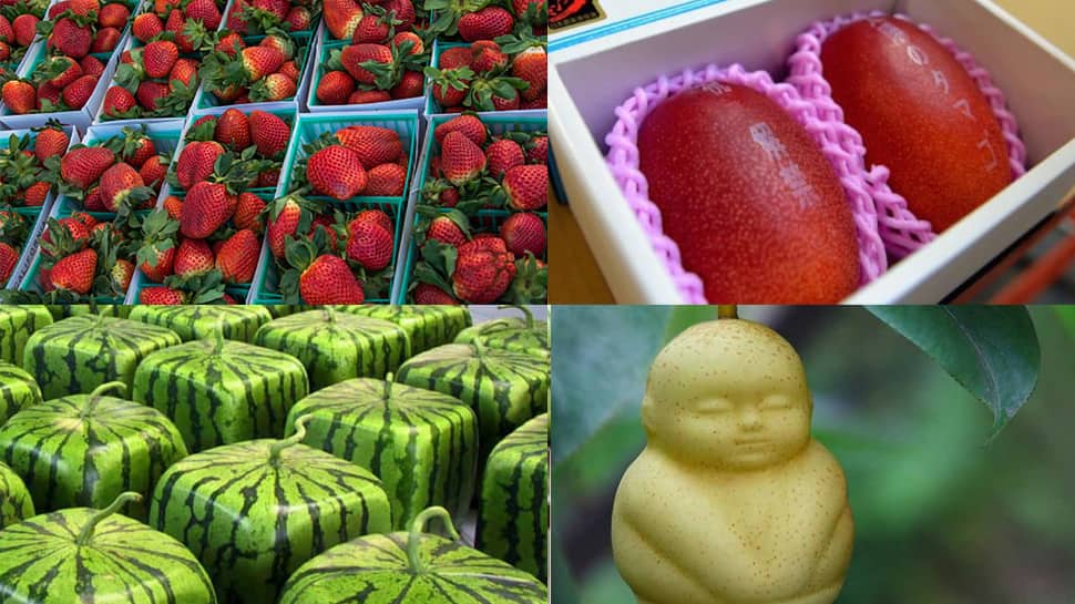 Luxury Fruits: આ છે દુનિયાના સૌથી મોંઘા ફળ, દ્રાક્ષના એક દાણાની કિંમત 35 હજાર રૂપિયા Luxury Fruits: આ છે દુનિયાના સૌથી મોંઘા ફળ, દ્રાક્ષના એક દાણાની કિંમત 35 હજાર રૂપિયા
