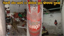 bareja News in Gujarati, Latest bareja news, photos, videos | Zee News ...
