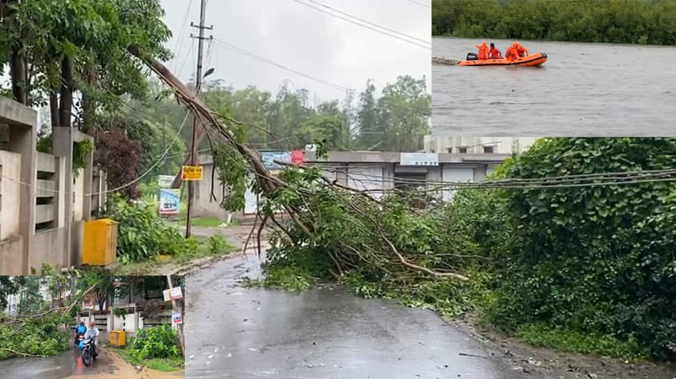 Monsoon Update: વલસાડ જિલ્લામાં મેઘમહેર, ક્યાંય રસ્તા બંધ થયા તો ક્યાં વિજળી થઇ ડૂલ Monsoon Update: વલસાડ જિલ્લામાં મેઘમહેર, ક્યાંય રસ્તા બંધ થયા તો ક્યાં વિજળી થઇ ડૂલ