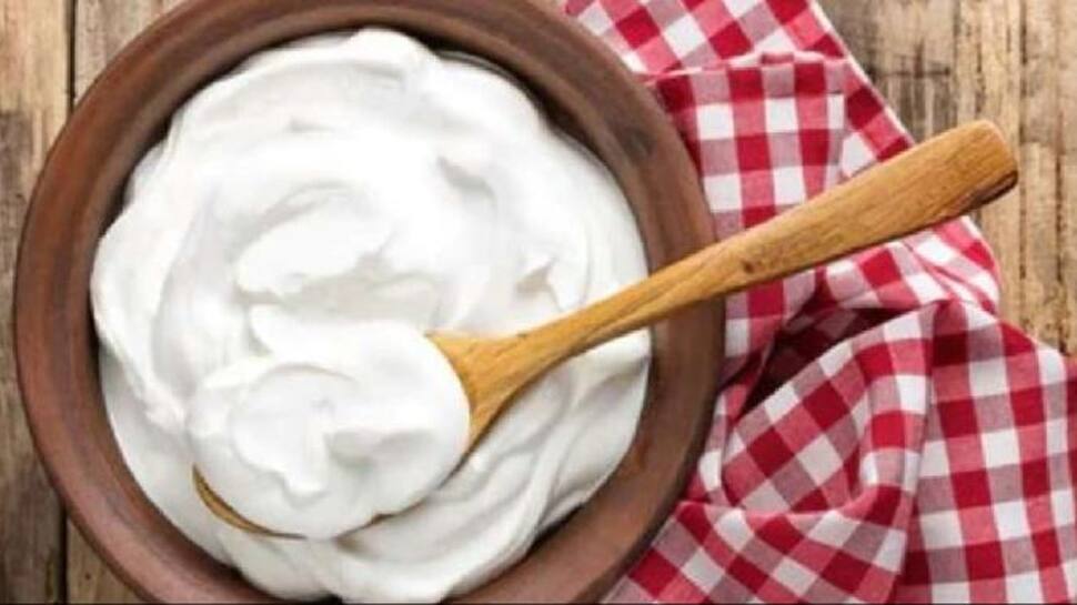 CURD: નિયમિત દહીંનો કરો આ રીતે ઉપયોગ, ફાયદા જાણીને થઈ જશો હેરાન CURD: નિયમિત દહીંનો કરો આ રીતે ઉપયોગ, ફાયદા જાણીને થઈ જશો હેરાન