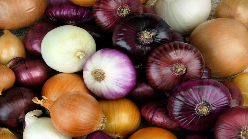 Benefits of Onions: ડુંગળીથી સ્વાસ્થ્યની સાથે-સાથે સ્કીન અને વાળને પણ થશે અનેક ફાયદા Benefits of Onions: ડુંગળીથી સ્વાસ્થ્યની સાથે-સાથે સ્કીન અને વાળને પણ થશે અનેક ફાયદા