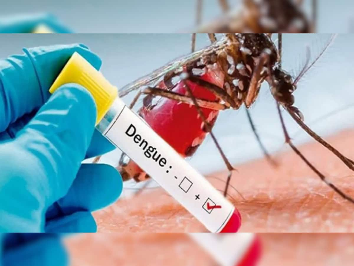 Dengue એ 9 વર્ષની બાળકીનો લીધો ભોગ, લોકોમાં ભયનો માહોલ 