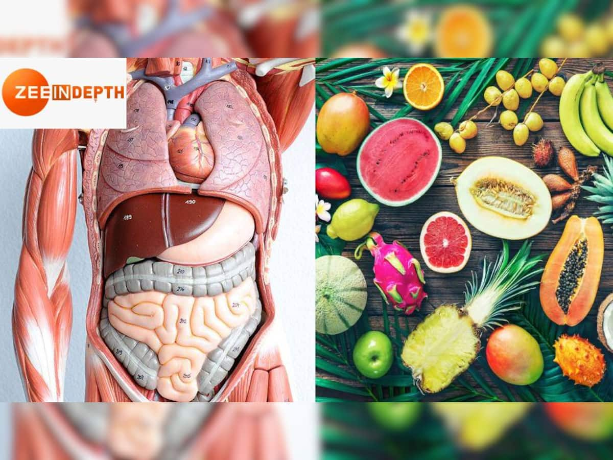 Food for Body Part: શરીરના દરેક અંગ માટે અલગ અલગ ખોરાક લેવો જોઈએ, ફાયદા જાણીને ચોંકી જશો, જુઓ ફૂડ લિસ્ટ